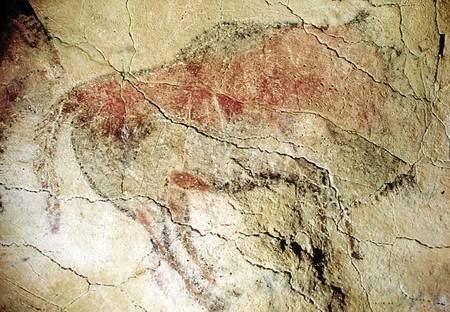 Bison from the Caves at Altamira a Prehistoric