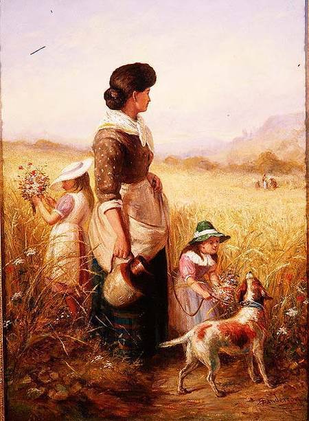 Playing in the Fields a R. Saunderson-Cathering