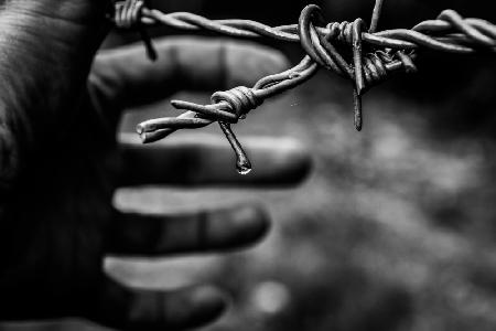 Hand and metal fence BW