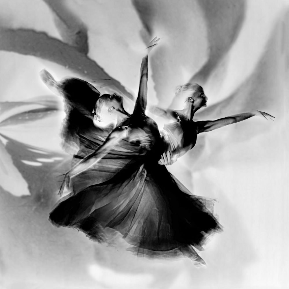 Dance in black and white a Rachel Pansky