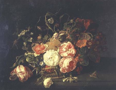 Flowers and Insects a Rachel Ruysch