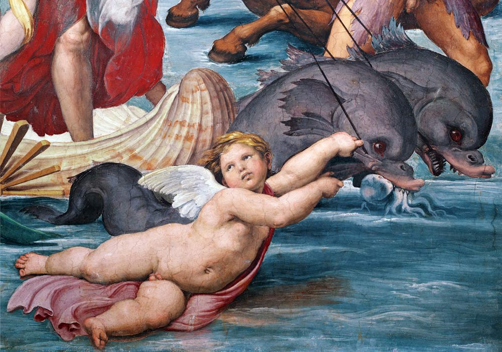 Galatea, detail of putto and dolphins a Raffaello Sanzio