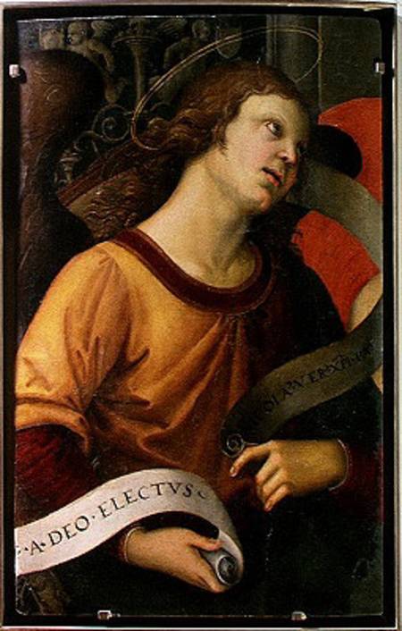 Angel, from the polyptych of St. Nicolas of Tolentino a Raffaello Sanzio