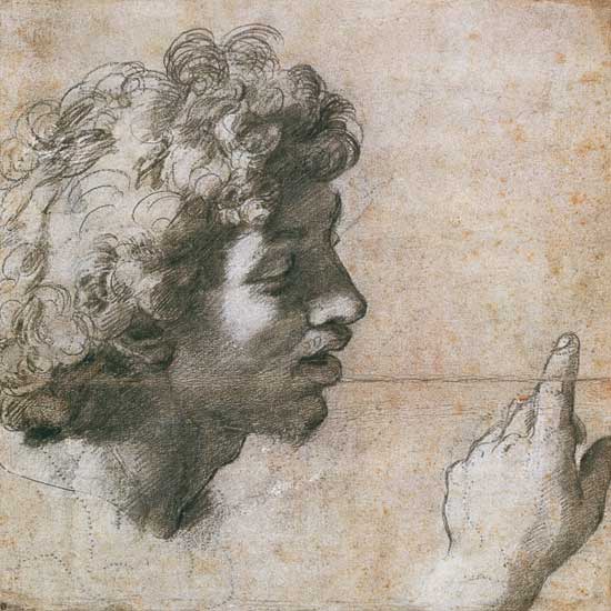 Studies of a Man's Head and Hand a Raffaello Sanzio