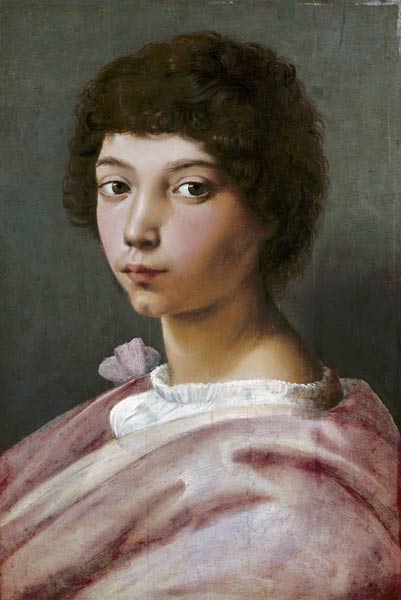 Portrait of a young man a Raffaello Sanzio