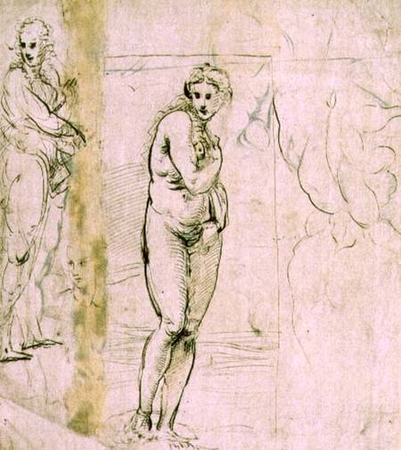 Study of Venus (pen & ink) a Raffaello Sanzio