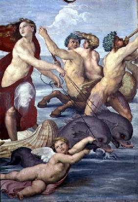 Galatea, detail of mermen and dolphins