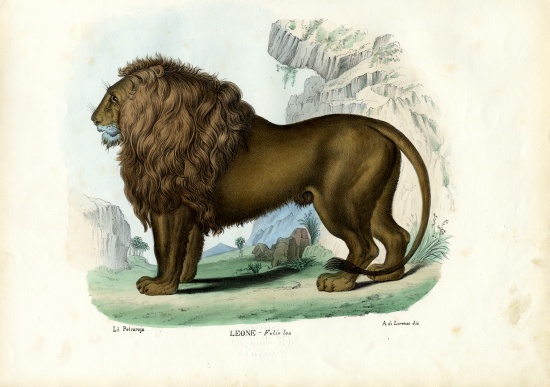 Lion a Raimundo Petraroja