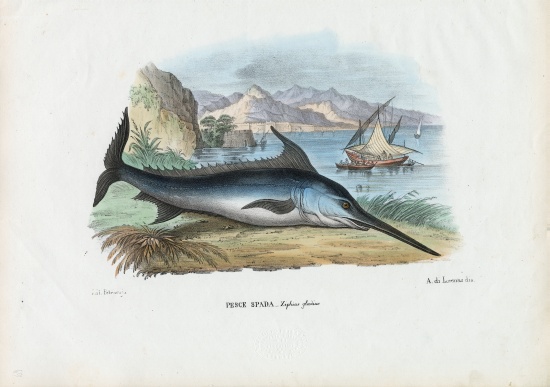 Swordfish a Raimundo Petraroja