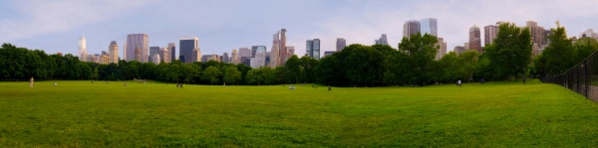 Central Park a Rainer Junker