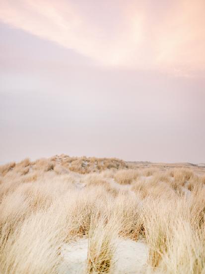 Ameland Dunes 2