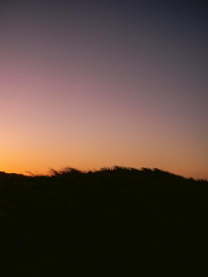 Dune Grass Sunset