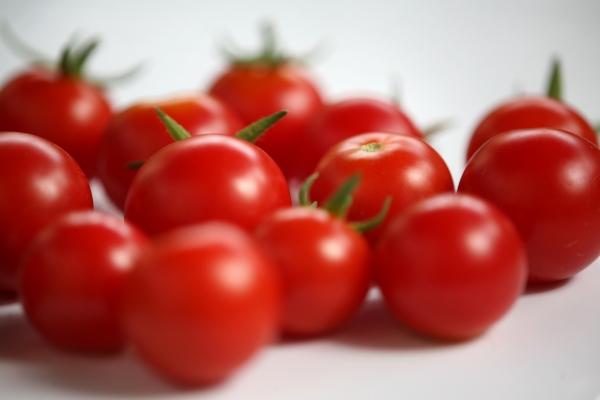 tomaten14 a Ralf Jüngling