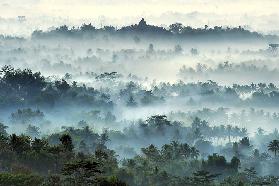 Misty Borobudur