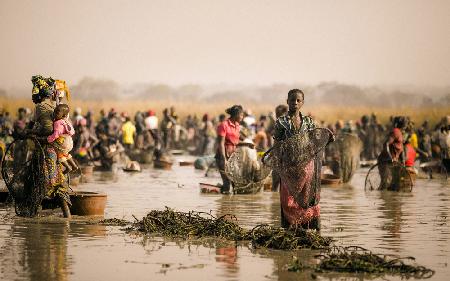 Pêche à la mare (Guinée)