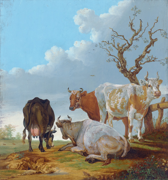 Vier Kühe auf der Weide, vorn sitzt ein Frosch a Regnu