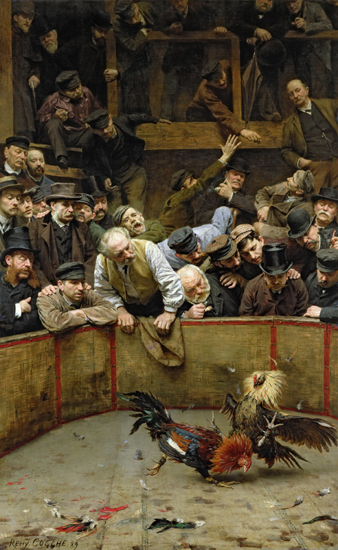 The Cockfight, 1889 (oil on canvas) a Rémy Cogghe
