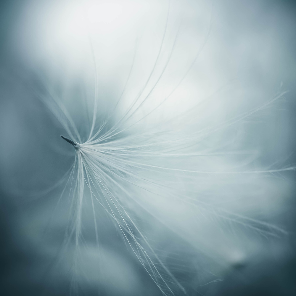 lightness a Renate Wasinger