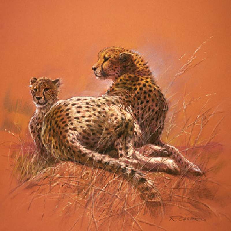 Cheetah Mother a Renato Casaro