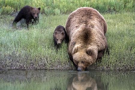 Thirsty work