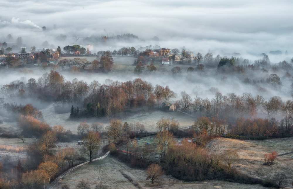 misty fields a Riccardo Lucidi