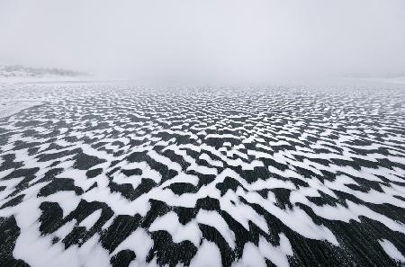 Camouflage lake