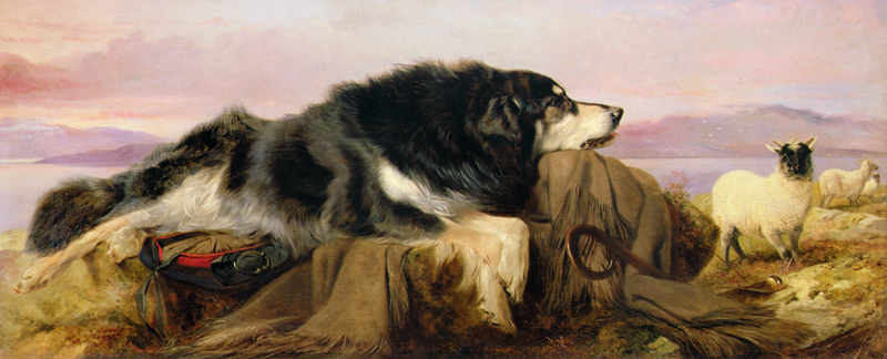 The Shepherd's Dog a Richard Ansdell