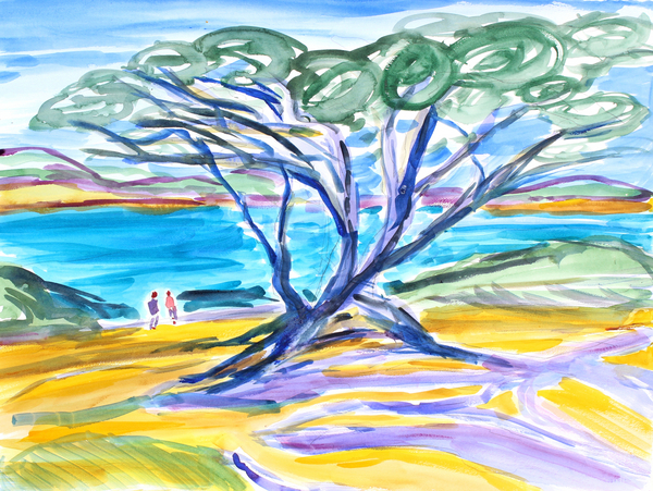 Cypress Tree, Carmel a Richard Fox