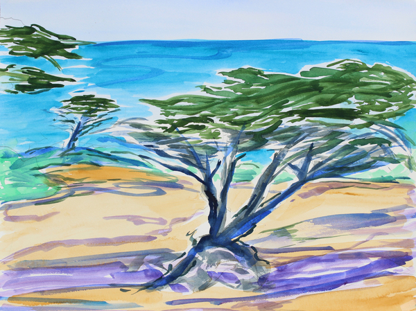 Cypress Tree, Carmel Bay a Richard Fox