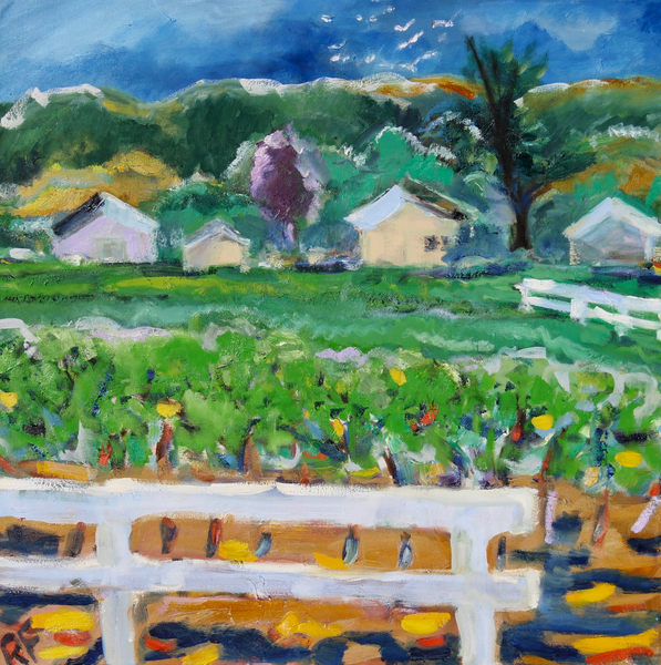 Vineyard and Fence, Napa a Richard Fox