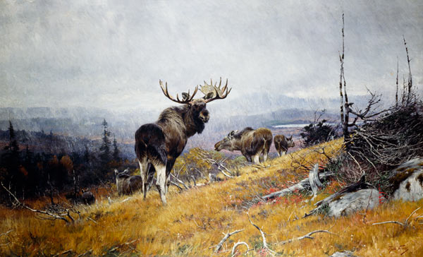 Elk pack a Richard Friese