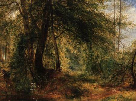 The Woodland Mirror a Richard Redgrave