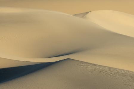 Death Valley Dune