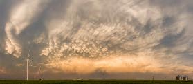 Mammatus