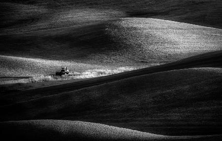 Palouse Sunrise