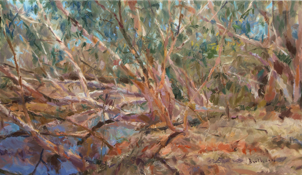 Dead Leaves Living it up in the Pilbara a ROBERT BOOTH CHARLES ROBERT BOOTH CHARLES