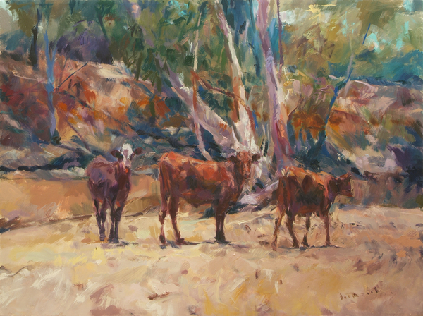 Pilbara Cows a ROBERT BOOTH CHARLES ROBERT BOOTH CHARLES