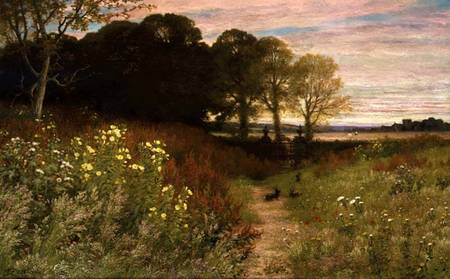Landscape with Wild Flowers and Rabbits a Robert Collinson
