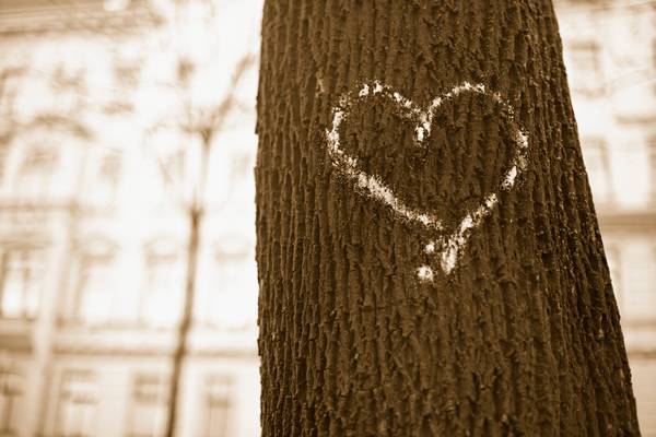 Gezeichnetes Herz auf einem Baumstamm. a Robert Kalb