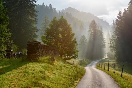 Gnanitzweg durch die Alm im Gegenlicht