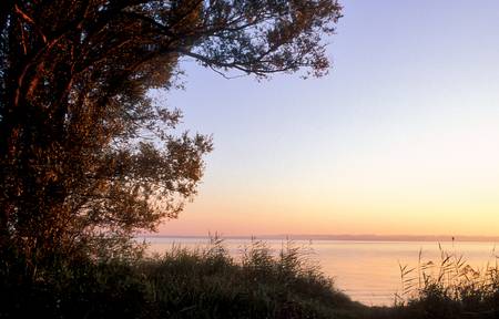 Sonnenaufgang im Rheinspitz, Bodensee