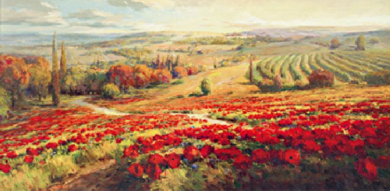Red Poppy Panorama a Robert Lombardi