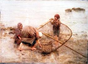 Scottish Fisherfolk