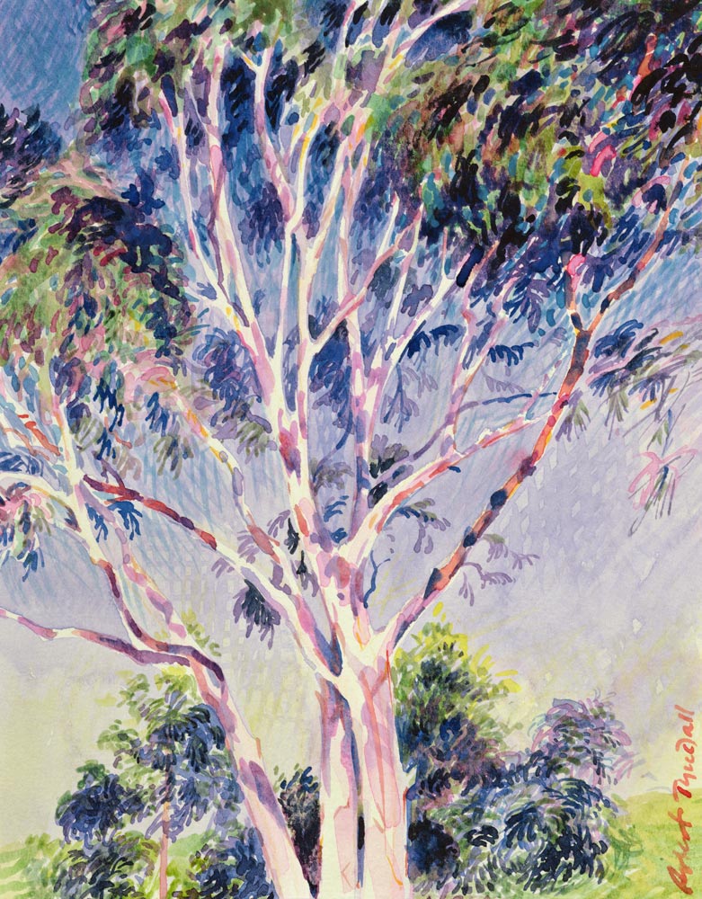 Gum Tree, Australia (w/c)  a Robert  Tyndall