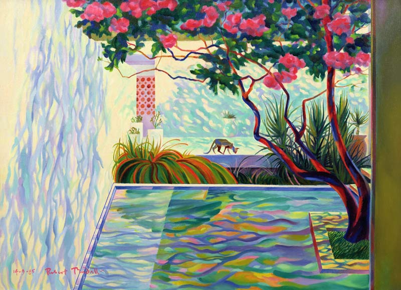 Cat in a Mexican Garden a Robert  Tyndall