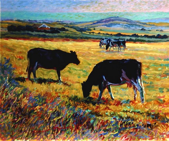 Cows on the Downs Overlooking Brighton  a Robert  Tyndall