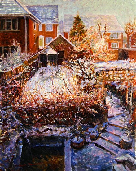 Sussex Garden in Winter  a Robert  Tyndall