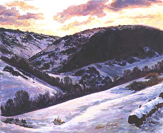The Devil''s Dyke in Winter, 1996  a Robert  Tyndall