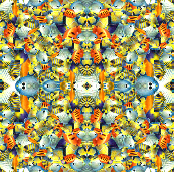 Kaleidoscope Fish Tile a Robyn Parker