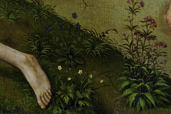 R.v.d. Weyden, Plants and flowers a Rogier van der Weyden